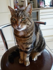 Woody the Magnificent !