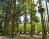 Go ape!