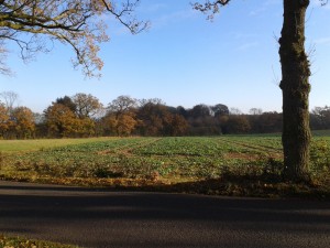 Autumn Suffolk