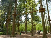 Go ape!